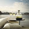 Охлаждаща декантираща гарафа за вино 0,75 l Eva Trio
