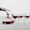Декантираща гарафа за вино 0,75 l Eva Trio