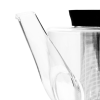 Чайник IINFUSION Viva Scandinavia, 1,0 л