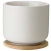 Чаша с подложка THEO 200 мл, пясъчен цвят, Stelton
