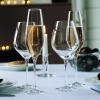 Чаша за шампанско CABERNET, комплект 6 бр., 290 мл, Holmegaard
