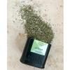 Органична смес от подправки ZA'ATAR 40 г, Mill & Mortar