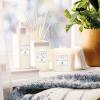 Ароматна свещ RAIN, 227 г, Clean