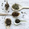 Комплект чайове ALAIN DUCASSE, 5 х 20 г, в кутия + инфузер, Kusmi Tea