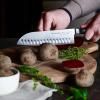 Кухненски ножове PREMIER PLUS EURASIA, комплект 3 бр., неръждаема стомана, F.DICK