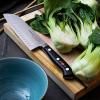 Кухненски ножове PREMIER PLUS EURASIA, комплект 3 бр., неръждаема стомана, F.DICK