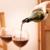 Накрайници за вино SOFT, комплект от 5 бр., L'Atelier du Vin