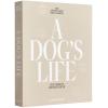 Албум за снимки A DOG´S LIFE, бежов, Printworks