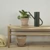 Лейка BLOOM 2 л, боровозелен, неръждаема стомана, Stelton