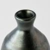 Бутилка за саке DARK LUSTRE, черен, керамика, MIJ