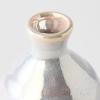 Бутилка за саке PEARL, сребърен, керамика, MIJ