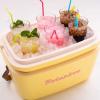 218399 6 chladici box classic gold 12 l perlova polarbox