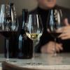 221657 1 sklenice na bile vino enoteca 364 ml sada 2 ks zwiesel glas