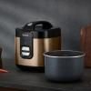 221429 7 ryzovar coppertinto rk364g10 2 l medena tefal