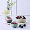 223689 1 jidelni miska coupe 12 cm 350 ml shell pink kamenina le creuset